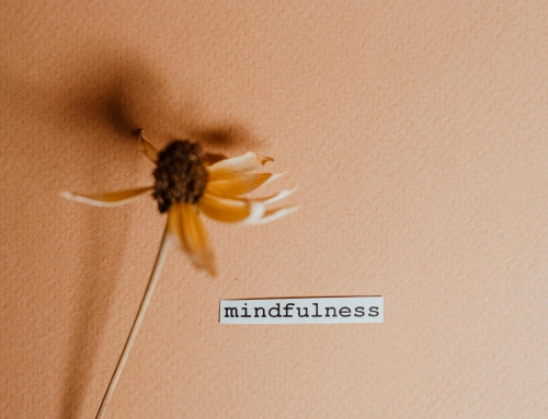 Integrating Mindfulness-Based Relapse Prevention into Your Recovery Plan